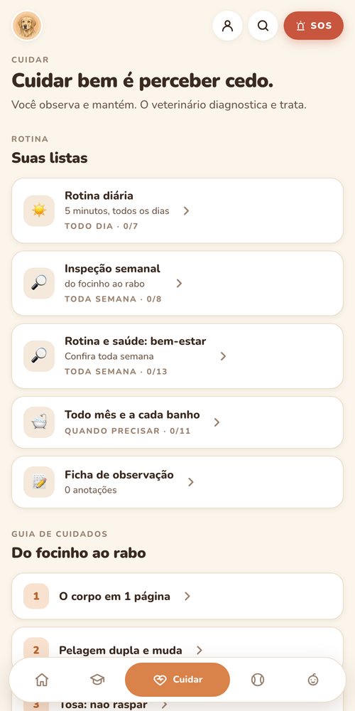 Cuidados